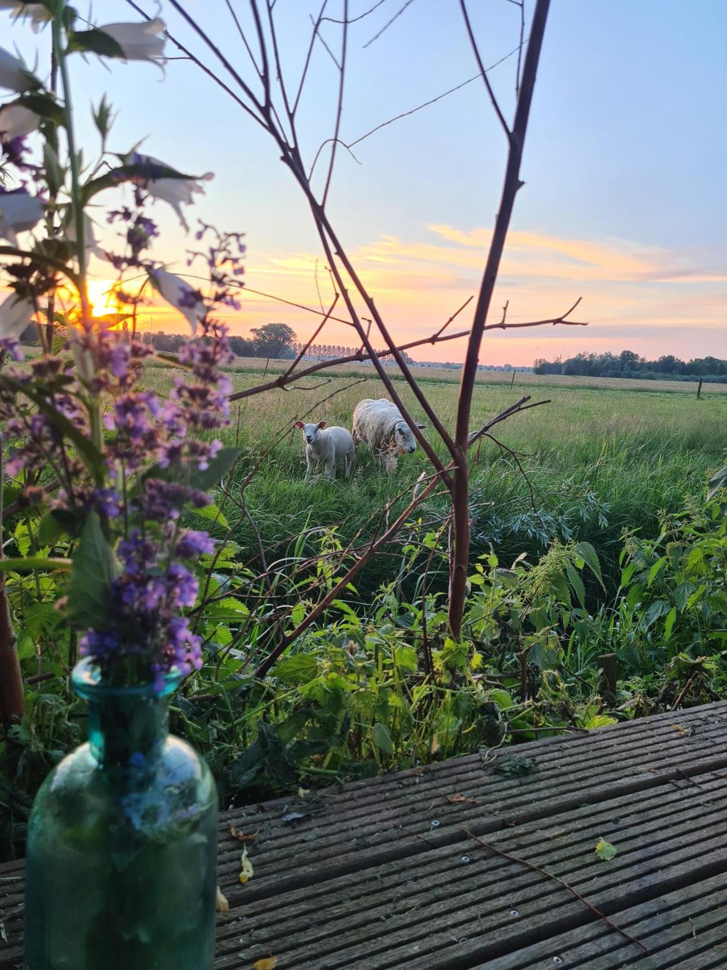 Cherry Cottage Schoonrewoerd ภายนอก รูปภาพ